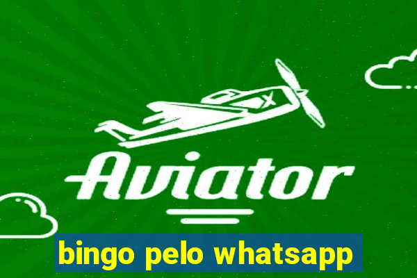 bingo pelo whatsapp